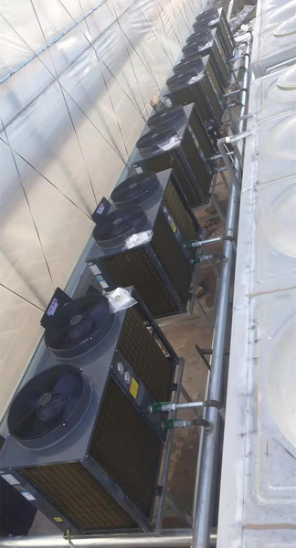 姚安花卉采暖项目14台10匹机组